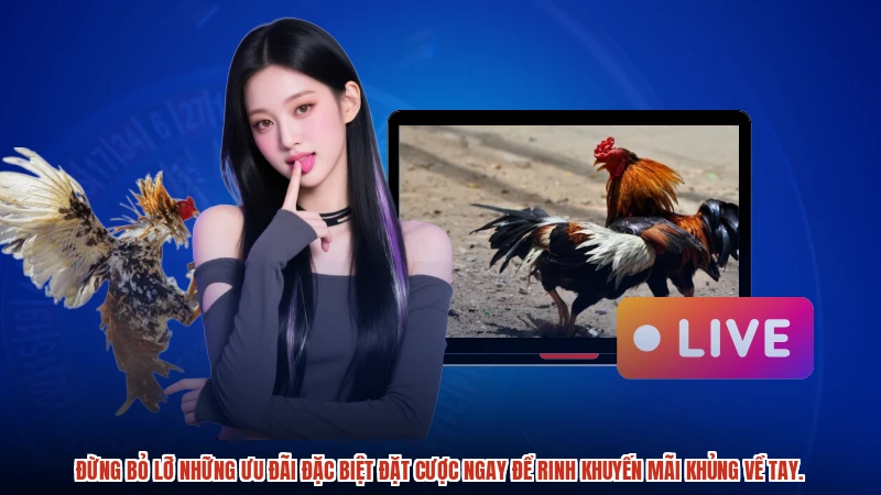 Đừng bỏ lỡ những ưu đãi đặc biệt đặt cược ngay để rinh khuyến mãi khủng về tay.