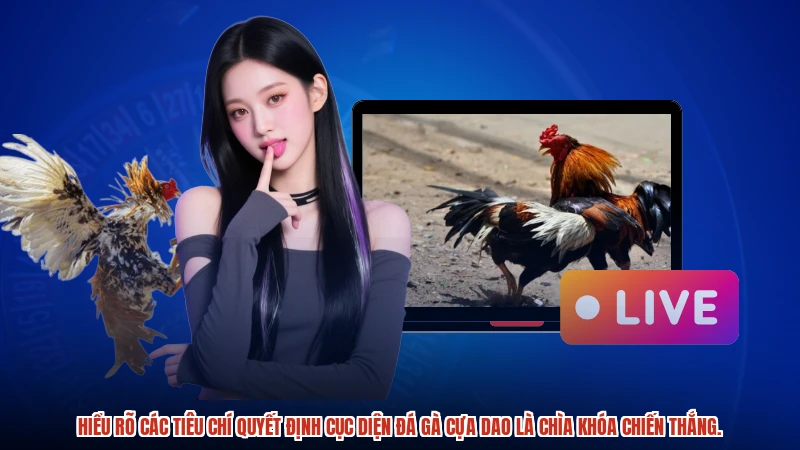 Hiểu rõ các tiêu chí quyết định cục diện đá gà cựa dao là chìa khóa chiến thắng.