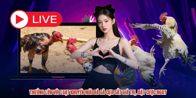 Thưởng lớn với loạt khuyến mãi đá gà cựa sắt giá trị, đặt cược ngay